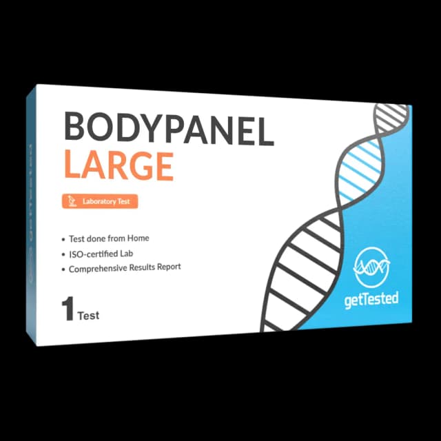BodyPanel Large