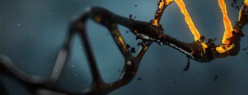 DNA ancestry